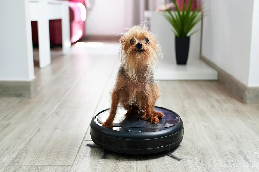 Pet Owners